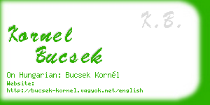 kornel bucsek business card